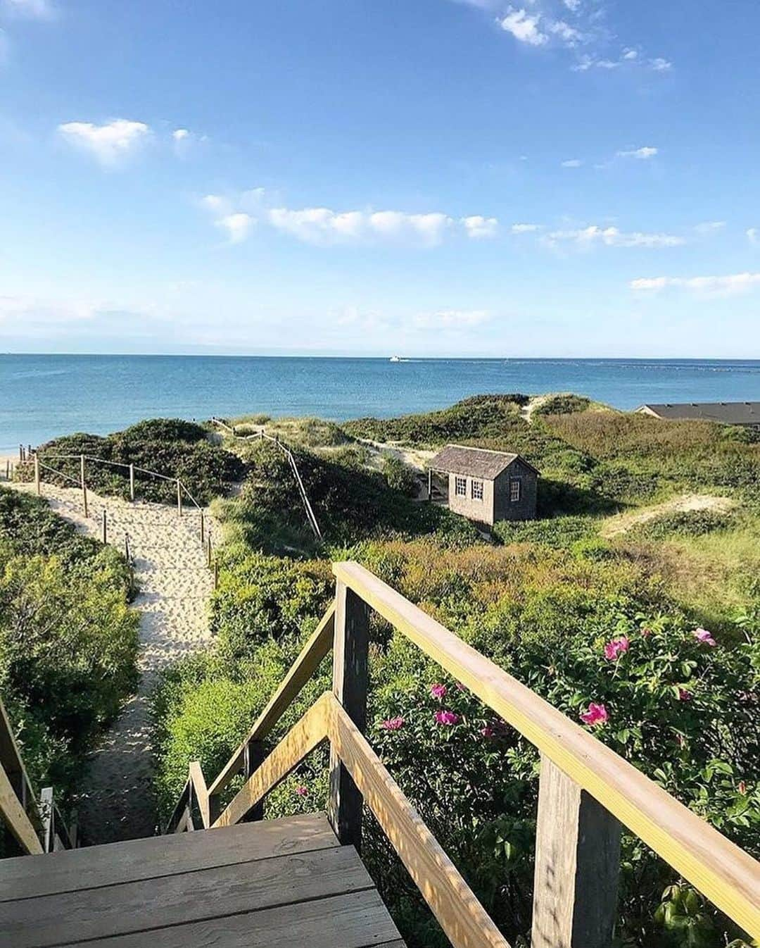 ELLE DECORさんのインスタグラム写真 - (ELLE DECORInstagram)「Stairway to paradise 💚💙 #regram 📸: @greyladygirl #nantucket」5月26日 23時06分 - elledecor