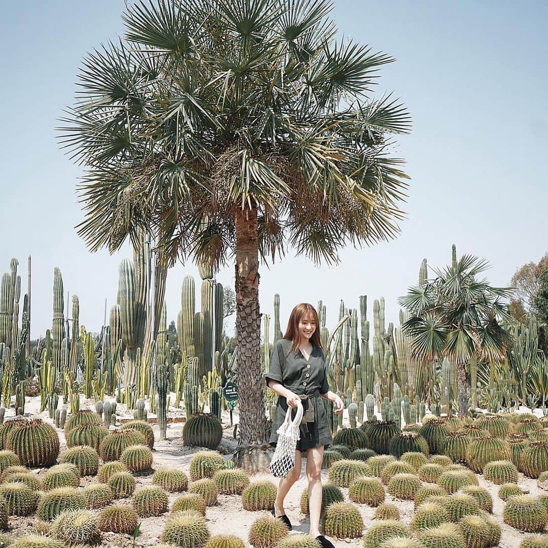 Giann Chanのインスタグラム：「大名鼎鼎的廈門多肉植物園🌵  想看遊記 留言"💚 "告訴我！  #Xiamen #ctytravelmap」