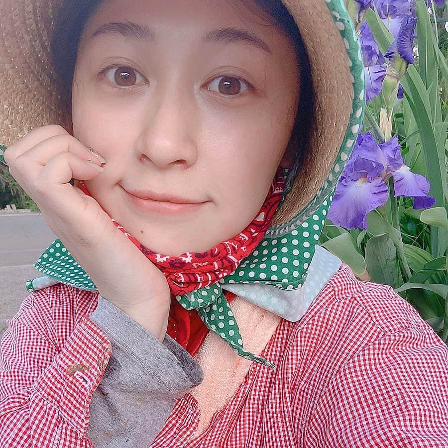豊森ちはやのインスタグラム：「﻿﻿ 今年も田植えへ 🌱﻿﻿ ﻿ ﻿﻿ 暑過ぎて熱中症になりそうでしたが﻿﻿ 山に癒されてきました ◟́◞̀﻿﻿ ﻿﻿ まだ梅雨前なのに夏みたいにあついので﻿﻿ 熱中症気をつけましょうね 💭﻿﻿ ﻿﻿ ﻿﻿ ...﻿﻿ ﻿﻿ 食べ物がすぐに手に入る時代。﻿﻿ ﻿﻿ お米や野菜など、普段口にしているものでもどうやって育っているか知らない人、簡単に残してしまう人が多いように感じます。﻿﻿ ﻿﻿ 例えばお家のベランダで種から育てた野菜、毎日水をあげてやっと食べられる状態になったらきっと美味しく食べてあげようと思いますよね。﻿﻿ ﻿﻿ ﻿﻿ もちろん残るくらいたくさんの料理でおもてなしをする文化もあるから押し付けたいわけではないんだけど、もう少し、当たり前でないことに気付いてほしいなと思います！﻿﻿ ﻿﻿ ﻿」