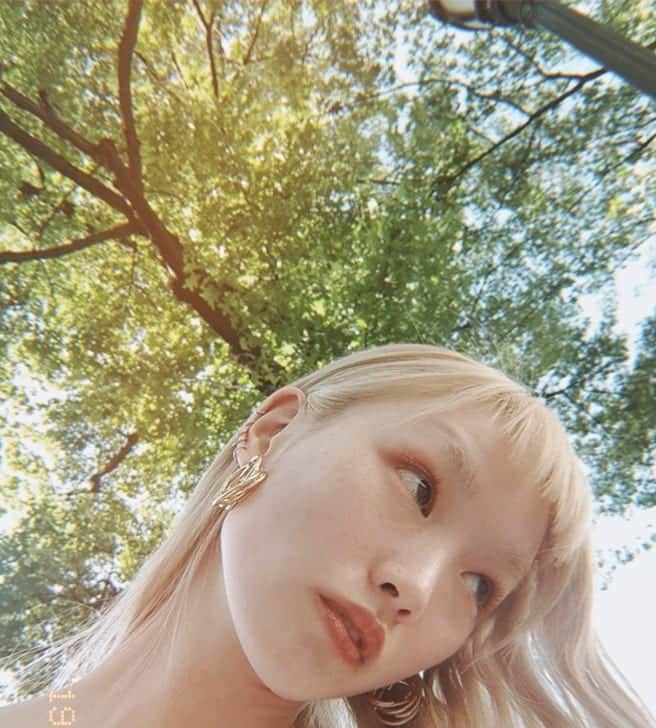 フェルナンダ・リーのインスタグラム：「〰️〰️〰️〰️〰️〰️」
