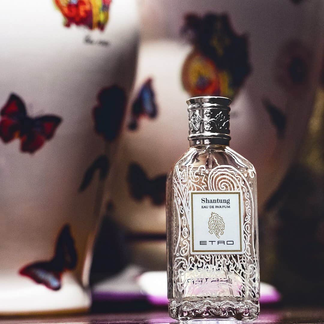 エトロさんのインスタグラム写真 - (エトロInstagram)「Like a breath of fresh air in a luxurious garden where flowers and fruits, bark and resins, herbs and berries are distilled into a single, sublime drop of Spring. Shantung #Etro Eau De Parfum is fluid and elusory, male and female, intense yet gentle. ⠀⠀⠀⠀⠀⠀⠀⠀⠀ #EtroFragrances」5月27日 0時12分 - etro