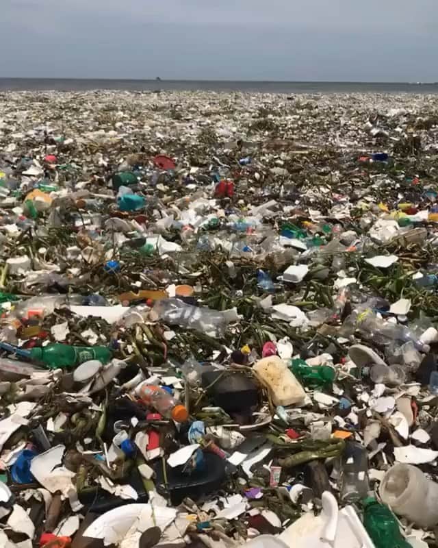 WildLifeのインスタグラム：「We, together with @save0cean, are giving away stainless steel straws for FREE! Get yours today! LINK IN OUR BIO👆🏼 Via @sustainablecoastlineshawaii This video was taken by the @parley.tv team on Saturday, July 14th at Playa Montesinos in the Dominican Republic, where Parley is currently on site working with the navy, the army, public workers and the municipal government.  After three days of cleanups they have intercepted over 30 tons of plastic, but there is a lot more work to be done. Over 500 public workers have been mobilized for this cleanup operation.  We need a wave of change and a Material Revolution. Wherever you are in the world, you can be part of the solution:  #ParleyAIR: Avoid. Intercept. Redesign.  @parley.tv @corona  @oceanplastic」