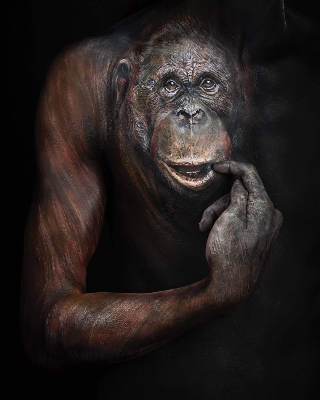 Amazing JIROさんのインスタグラム写真 - (Amazing JIROInstagram)「"As One - The series of figurative animal art: Orangutan -" The first artwork for my new project, "Animal Series" is an orangutan, which I painted on the male model's chest.  Hope you enjoy this art to details and cute orangutan will make you smile :) Body paint : #amazing_jiro Model : U Okazaki @u_okazaki Photo : Youhei Kodama @kodamax_photo  #bodypaint #painting #orangutan #animals #art #illusionmakeup #creativemakeup #airbrush #dandelion #seedhead #ボディペイント #ペイント #オランウータン #動物 #アート #たんぽぽ #綿毛 #kryolan #makeupforever #wolfefx #mehron #skinillustrator」5月27日 0時22分 - amazing_jiro
