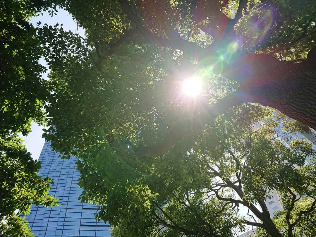 熊本アイさんのインスタグラム写真 - (熊本アイInstagram)「5.26 夏いね  #tokyo #photogenic #季節はずれ」5月27日 0時54分 - eye.1010