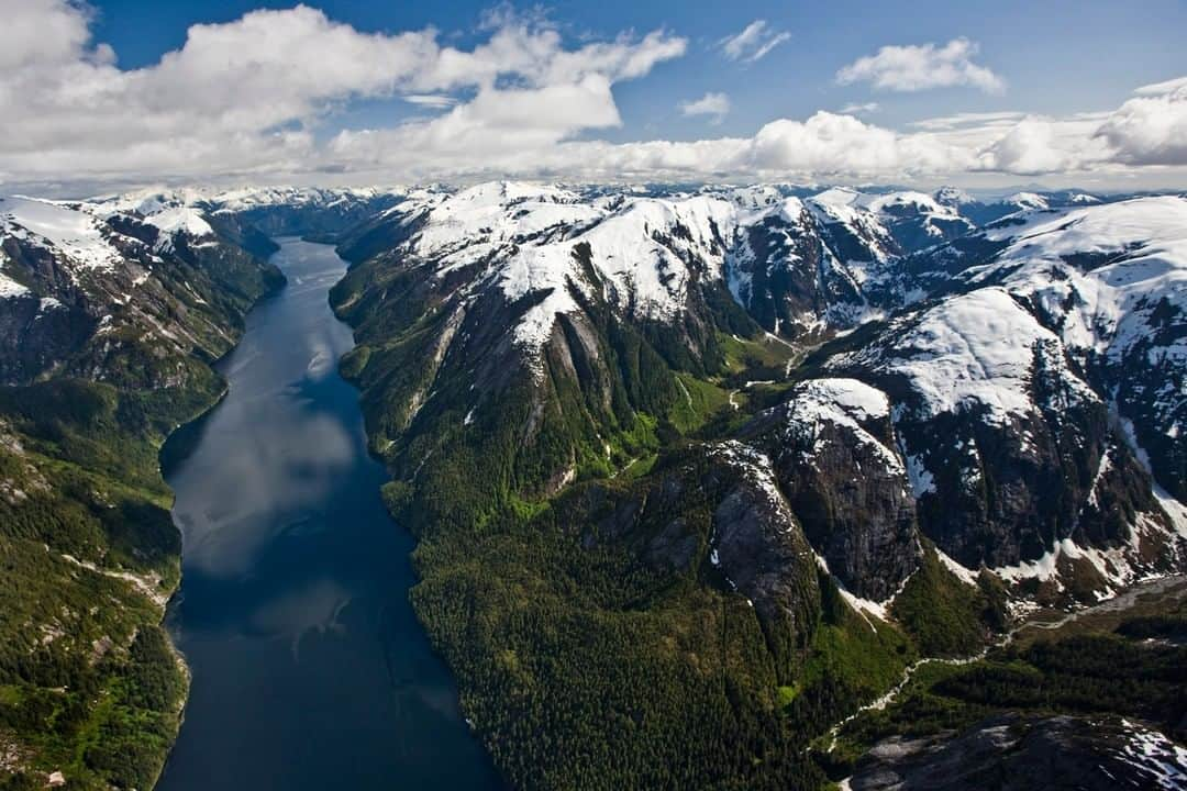 National Geographic Travelさんのインスタグラム写真 - (National Geographic TravelInstagram)「Photo by @PaulNicklen | British Columbia is home to the largest intact temperate rainforest, which provides a lush and abundant habitat for a variety of fish, bird, mammal, and plant species; some of which are exclusive to the region. We must work hard to protect the array of life here. To give nature the chance to maintain its own unique and fragile ecosystems and not to face insurmountable human pressures. #FollowMe at @PaulNicklen for more photos and stories from Canada’s west coast. #BritishColumbia #rainforest #conservation #biodiversity」5月27日 1時02分 - natgeotravel