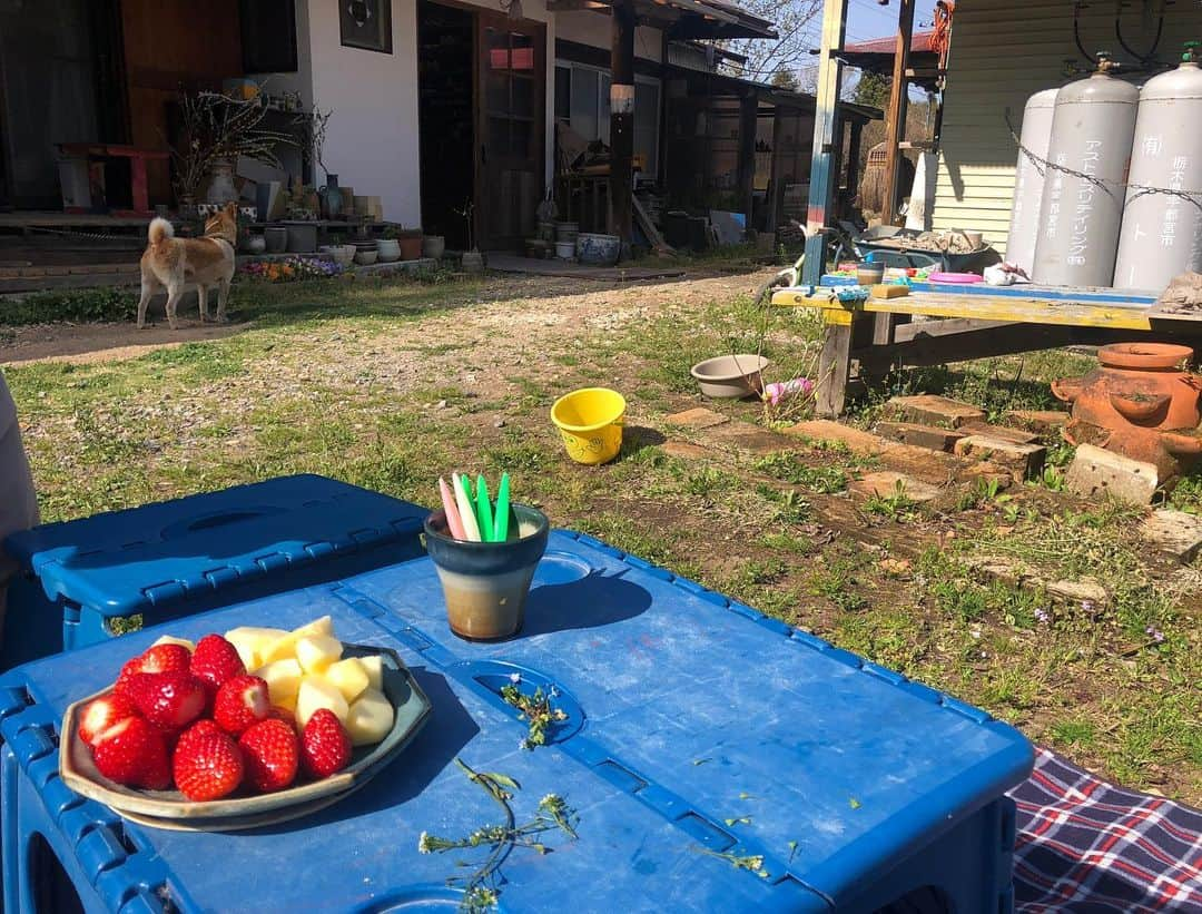 有末麻祐子さんのインスタグラム写真 - (有末麻祐子Instagram)「なんと工房では 佐々木さんのご厚意で、箸置きを作らせて頂きました！ 見学だけのつもりが、体験までさせて頂けことになり 佐々木さんの人柄の良さに 終始感動しておりました😣  そして、本当に 奥様もお子さんも 素敵なご家族で 佐々木さんのあのお皿達の背景が見えたといいますか とても納得しました。 益々、 @rokuroboys のお皿のファンになってしまいました🙇🏻‍♀️ 佐々木さん、奥様本当にありがとうございました🙇🏻‍♀️🙇🏻‍♀️🙇🏻‍♀️ #佐々木康弘#益子焼き」5月27日 1時37分 - mayukoarisue