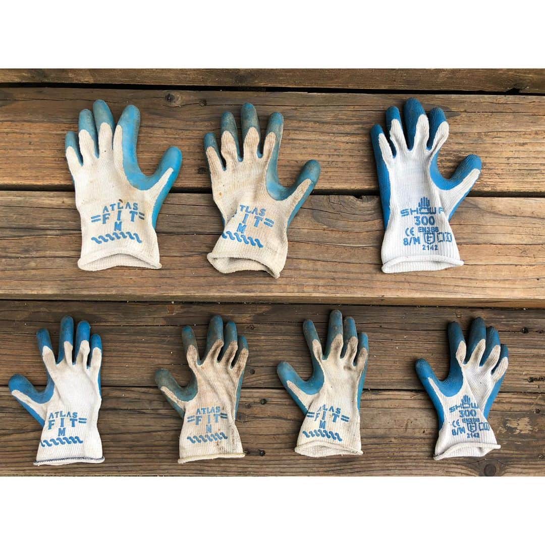 Snorri Sturlusonさんのインスタグラム写真 - (Snorri SturlusonInstagram)「STOLEN: blue gardening glove #7, night of 5/25. Y’all knew this one was coming. Taking bets on how many more there will be. #catburglar #kleptokitty #snorrithecat #snorristurluson #spokanedoesntsuck #catsofinstagram」5月27日 1時53分 - snorrithecat