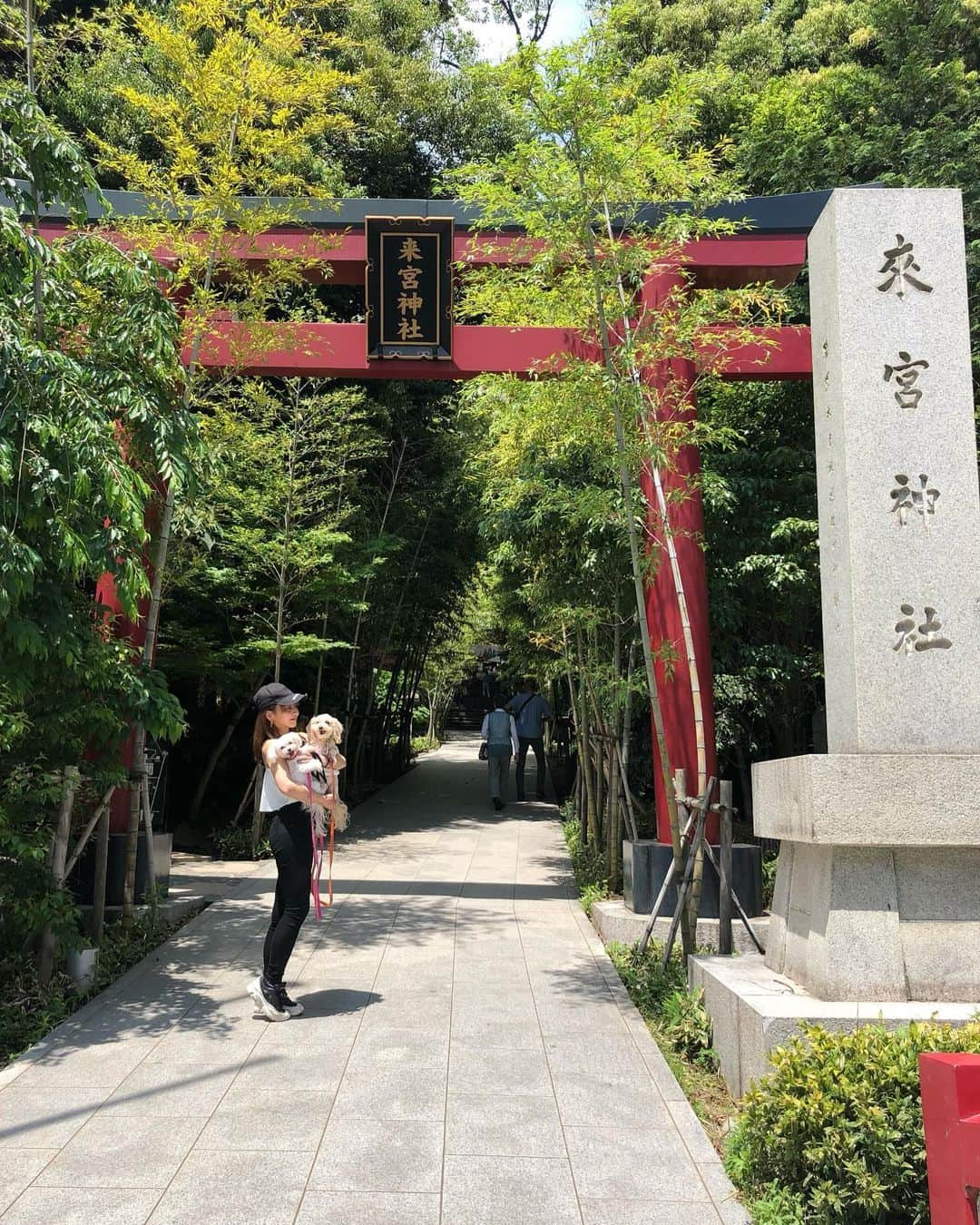 古都かなのインスタグラム：「お誕生日の当日はフラコロちゃん🐩🐕と熱海のパワースポット来宮神社へ⛩お天気良くて最高に気持ち良かった🌞💕おみくじ大吉だったよ✌️素敵な1年になりますように🙏#熱海 #来宮神社 #パワースポット #おみくじ #大吉 #愛犬 #フラコロ #お散歩 #大喜び #これからもずっと一緒 #長生きしてね🐾 #愛してる💕」