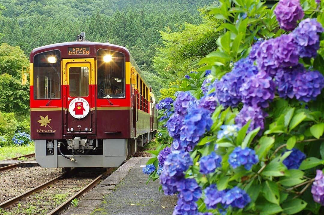 TOBU RAILWAY（東武鉄道）のインスタグラム