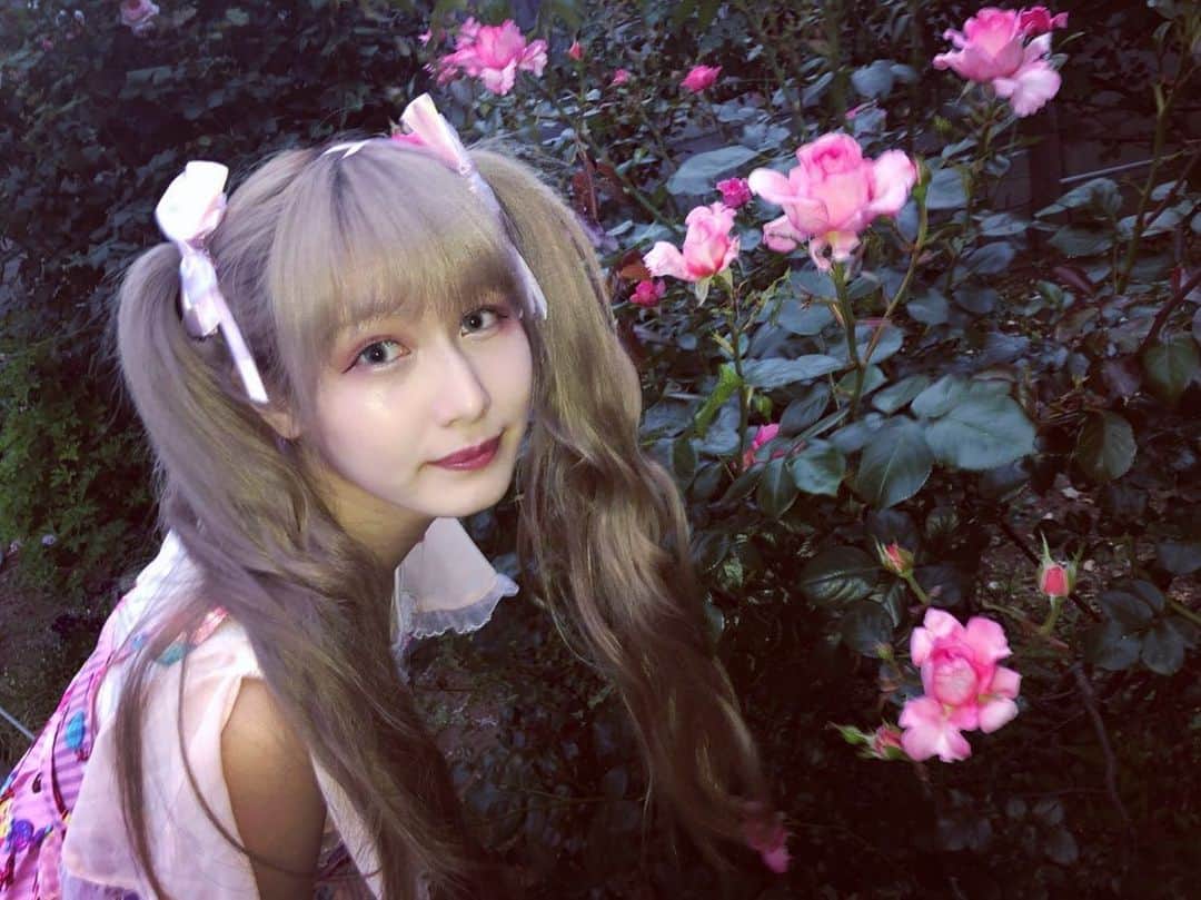 仮眠玲菜のインスタグラム：「🌹🎀」