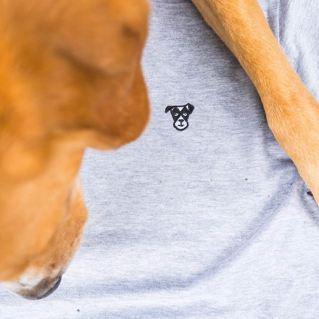 The Dogistさんのインスタグラム写真 - (The DogistInstagram)「Get your paws on a Dogist shirt! The whole Dogist Shop is 35% off this weekend with promo code: MEMORIALDAYDOGGO (link in bio). Don’t miss out!」5月27日 4時56分 - thedogist