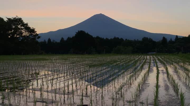 phantastic420のインスタグラム：「. 🤩🤩“Shizuoka” prefecture in Japan is a place where you can see the most “phantastic” Mt. Fuji🗻 in the world.🤩 #富士山 #mtfuji #japan #shizuoka #fujinomiya  #phantastic420photography #mostphantasticmtfuji #selamatpagi  #goodmorning  #おはようございます 😇😇😇😇😇😇😇🗻😇😇 うっすら焼けました🤣」
