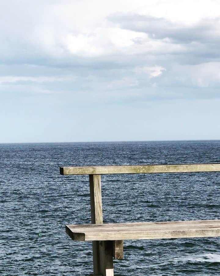 カーター・スミスのインスタグラム：「What a perfect afternoon. I’ve been making batch after batch of green meatballs to use up everything in the fridge.  I think I finally figured out how to make them truly bright-ish green. :) Outside the day has been gorgeous. #BaileyIsland never disappoints...」