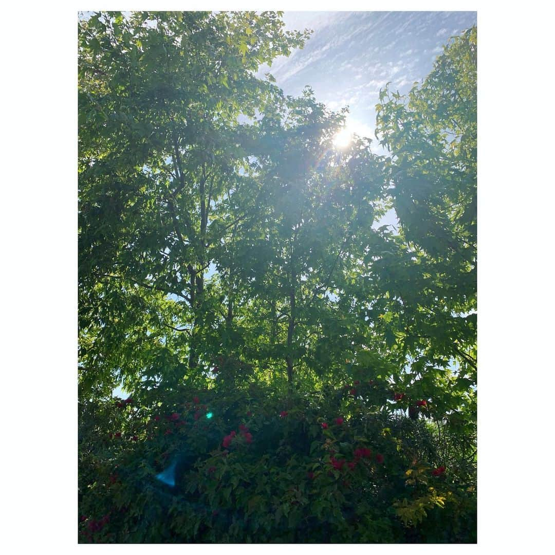 MINMIさんのインスタグラム写真 - (MINMIInstagram)「公園いってきたよ 雲が下に見える公園」5月27日 5時59分 - minmidesu