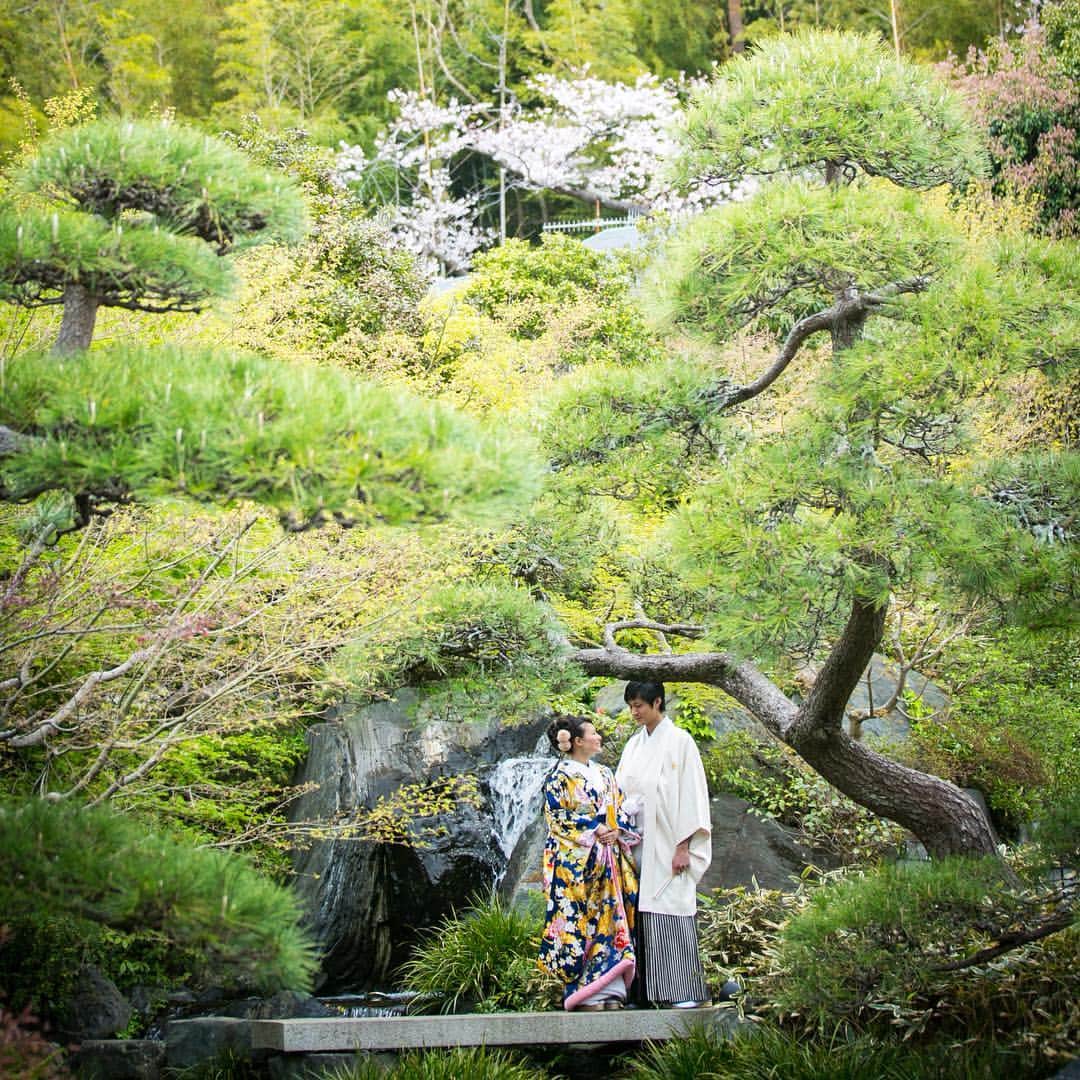 The KAMAKURA WEDDINGのグルメインスタ