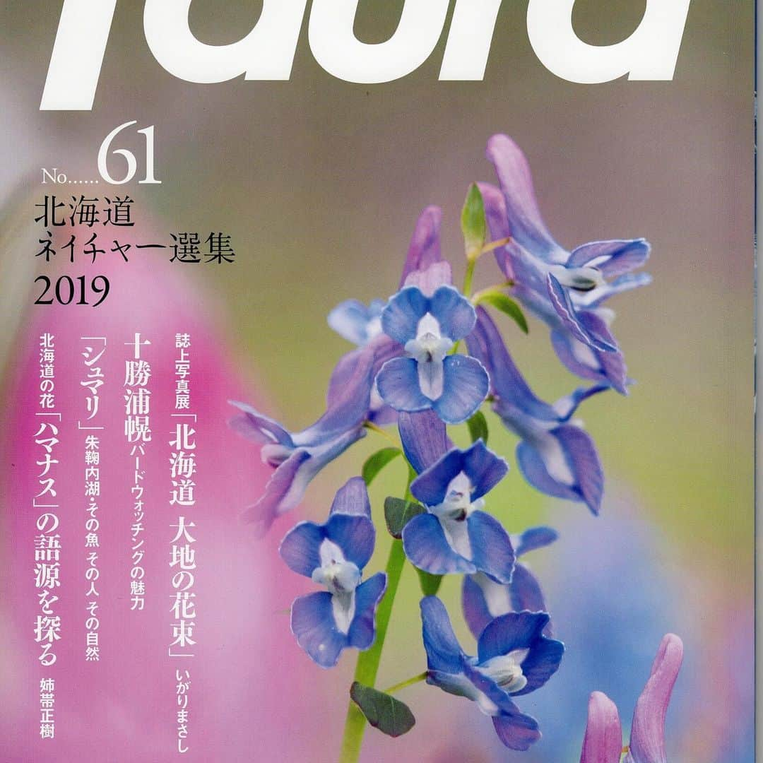 逢坂誠二さんのインスタグラム写真 - (逢坂誠二Instagram)「#北海道 の自然の営みを伝えるグラフィック雑誌『faura』の61号が発売された。特集は「北海道ネイチャー選集2019」だ。私のコラム「逢坂誠二の丁々発止」、今回のテーマは俳句だ。北海道の自然の奥深さを知ることのできる『faura』を、ぜひ手にとってみて。#faura #逢坂誠二  #逢坂誠二 #ohsaka #地域があって国がある #函館 #instagram #hakodate」5月27日 7時02分 - seijiohsaka