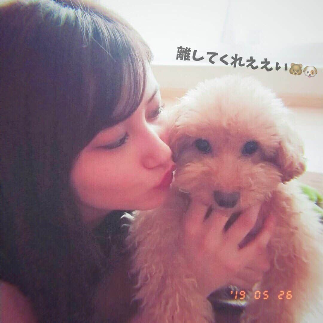 江藤彩也香さんのインスタグラム写真 - (江藤彩也香Instagram)「おはようう🌞君は熊なのか犬なのかどちらなのですか？？べりたんべりたん😙❤️ 東京戻りまする！ねむねむねむ...💤 #愛犬 #べりたん #ベリー #ラブアンドベリー #ストロベリー #ブルーベリー #犬 #自撮り #dog #love #cute #bear #plushdoll #selfie #japan #japanesegirl #instagood #instadog #chu #followme」5月27日 7時26分 - sayakadayo_