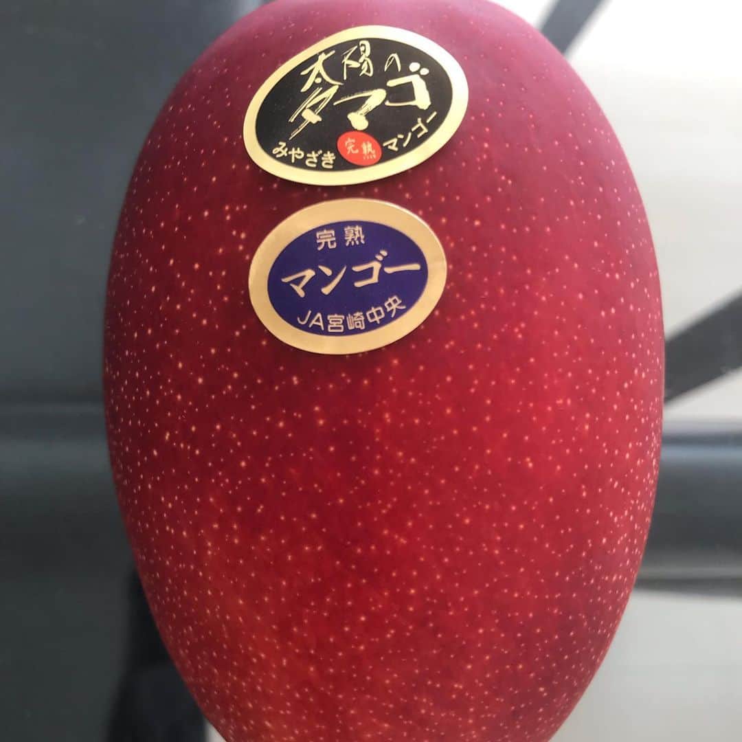 東野幸治さんのインスタグラム写真 - (東野幸治Instagram)「美味いよ~完熟マンゴ~」5月27日 7時51分 - higashinodesu