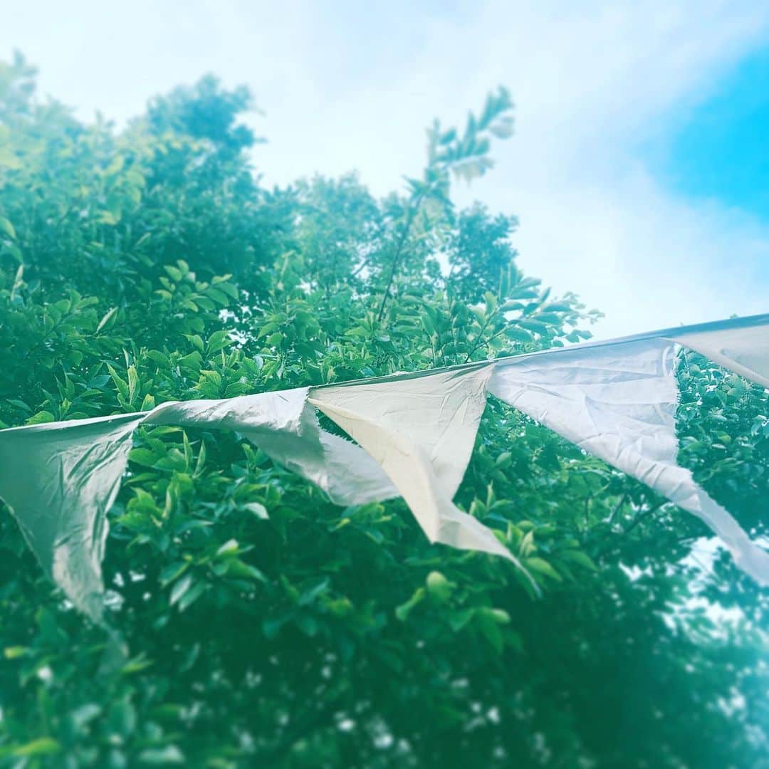 のインスタグラム：「#flags #yokohama #greenroomfestival #corinnebaileyrae #tommisch #tommyguerrero #安藤裕子」