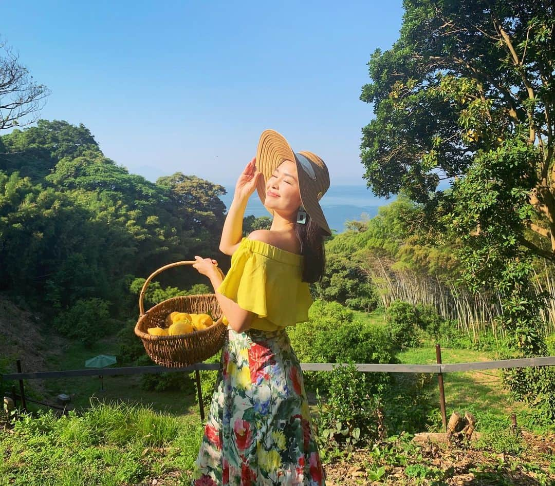 冨田七々海のインスタグラム：「Weekend getaway! Went lemon picking at the beautiful Orange Floral Farm in Manazuru. ・ A perfect weekend filled with th smell of fresh lemon and kindness of sweet local business owners 😊🍋 ・ ・ #レモン狩り #みかん狩り #オレンジフローラルファーム #レモン #フルーツ狩り #真鶴 #自然 #女子旅 #週末旅行 #美容 #旅行 #旅行コーデ #モデル #ミスコン #lemonpicking #travel #weekendgetaway #summerdress #model #weekend #girls #girlsday」