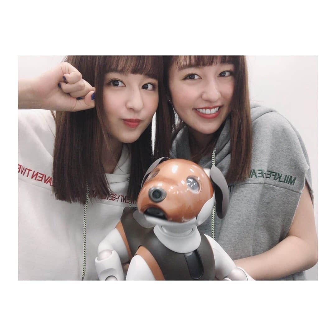 りかりこさんのインスタグラム写真 - (りかりこInstagram)「. この間、事務所に行ったら かわいいかわいい🐶が居たよ〜 写真撮って〜て言ったら撮ってくれて、 ハイタッチ！て言ったら ハイタッチしてくれて、、、 本当すごい✌︎またあおうね❤︎ #SMA×aibo #SMA育成アーティスト犬 #名前募集中  #リカリコグラム #りかりこ」5月27日 8時56分 - rikariko_official