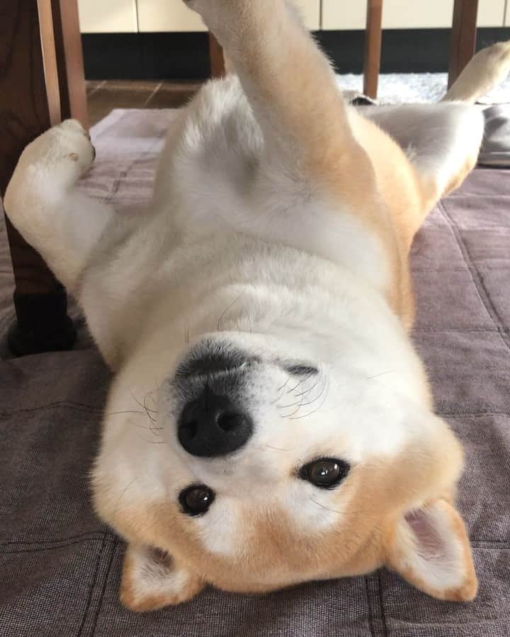 豆助左衛門（まめすけざえもん）のグルメインスタ