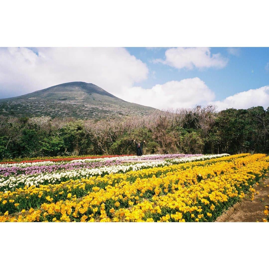 芳根京子のインスタグラム