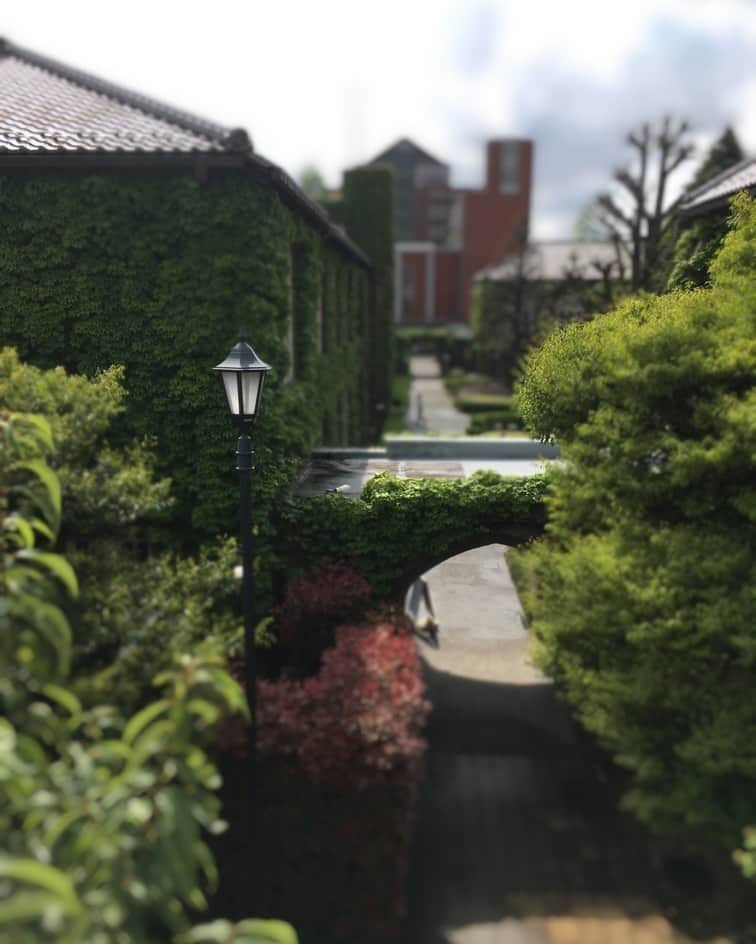 立教大学のグルメインスタ