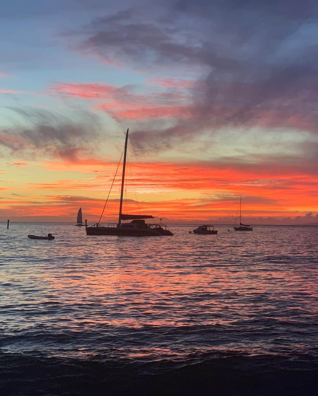 ジェイミー・キングさんのインスタグラム写真 - (ジェイミー・キングInstagram)「At the beach, life is different. Time doesn’t move hour to hour, but mood to moment. We live by the currents, plan by the tides and follow the sun 🌅」5月27日 10時17分 - jaime_king