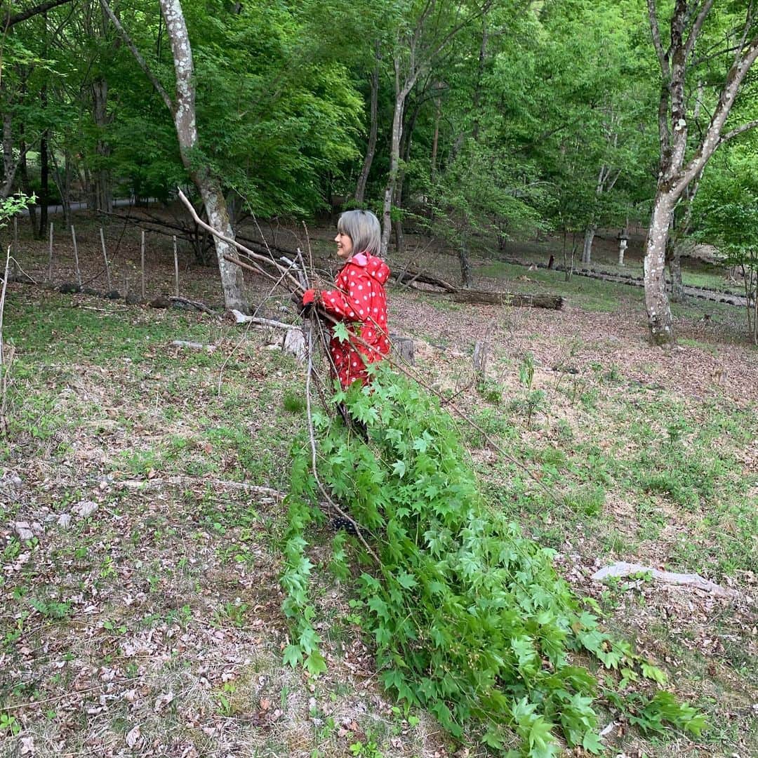 橋本志穂さんのインスタグラム写真 - (橋本志穂Instagram)「草むしりして 余計な枝切って 結構な肉体労働の庭の手入れ。 でも楽しい自然とのふれあい」5月27日 10時25分 - shihohashimoto3