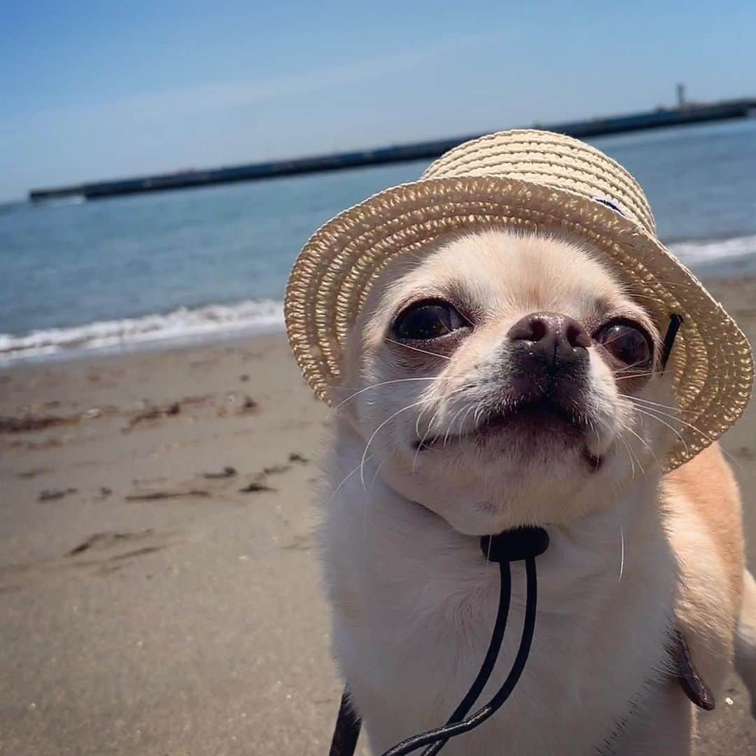 巴田みず希のインスタグラム