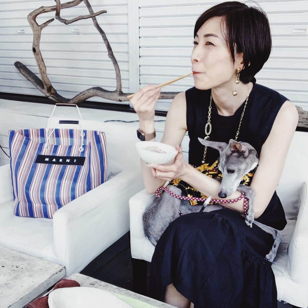 簑島宏美さんのインスタグラム写真 - (簑島宏美Instagram)「* ******** He is a quiet hunter at all times during my meal.🤣 * テラスでランチ🍴 @thebridge.3319  床でお座りしたり、膝の上へ来て甘えたりと食事中とても静かにしていますが、実は虎視眈々と私がポロリと落とすのを狙っているハウルです😂 ランチは1500円でお刺身、サラダ、4種の小鉢、メイン、ご飯とお味噌汁、コーヒーと付いてきました🥰💕 お腹いっぱい！大満足です❤ * ******** #イタグレ#イタリアングレーハウンド#italiangreyhound#dogstagram#イタグレとの暮らし#iggy#iggygram #iggylove#iggylife#いぬのいる暮らし#犬のいる暮らし#いぬバカ部#イタグレ服#iggysoftheworld #iggysofinstagram #dogsofig #dogsofinstagram #プチプラコーデ #犬好きな人と繋がりたい#オシャレさんと繋がりたい#犬服ハンドメイド#リンクコーデ#大分県#oita#おんせん県#おんせん県おおいた#おんせん犬おおいた #oitagram#oitaprefecture」5月27日 10時53分 - hiromiminoshima