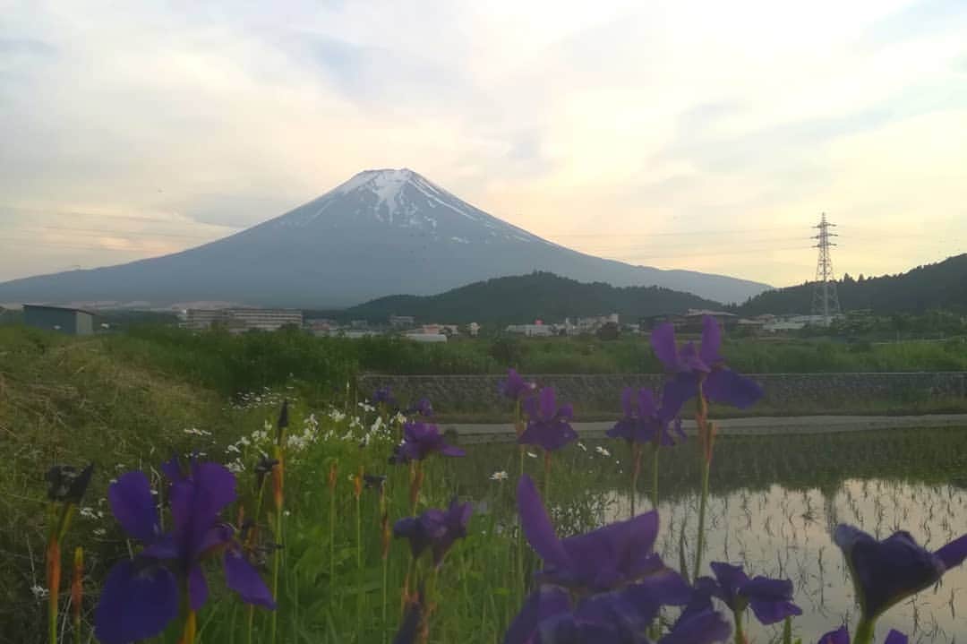 桑原淳さんのインスタグラム写真 - (桑原淳Instagram)「大好きなスポットで逆さ富士の田んぼバージョンを。  人がいなくて景色がきれいなのです。  富士山の写真家でこれ撮ってる人がいて、ぱくりました（笑）きれいだな〜  #富士山 #サムライゲストハウス #ほうとう体験」5月27日 10時55分 - juuuuuuuun