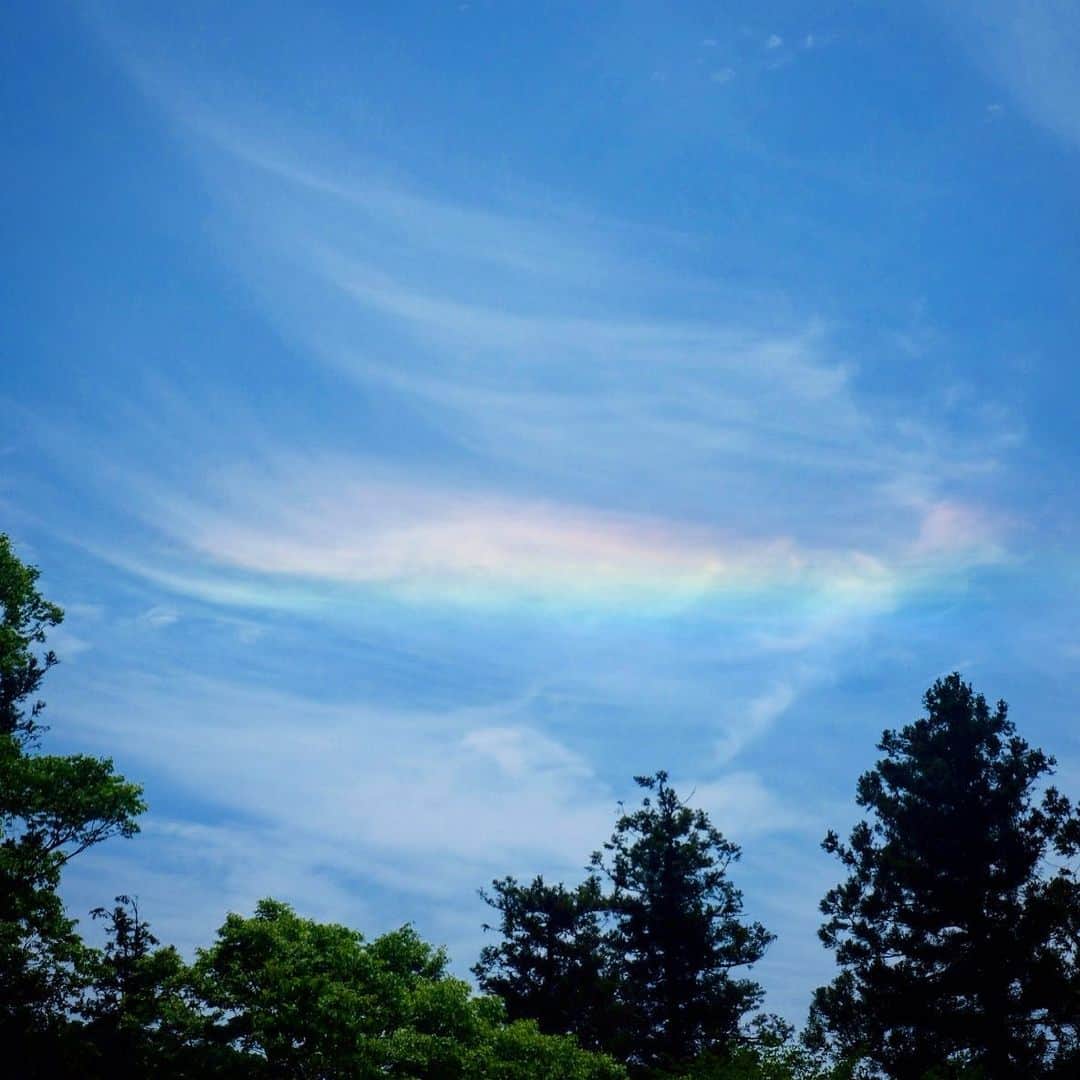 奈良 長谷寺 / nara hasederaのグルメインスタ
