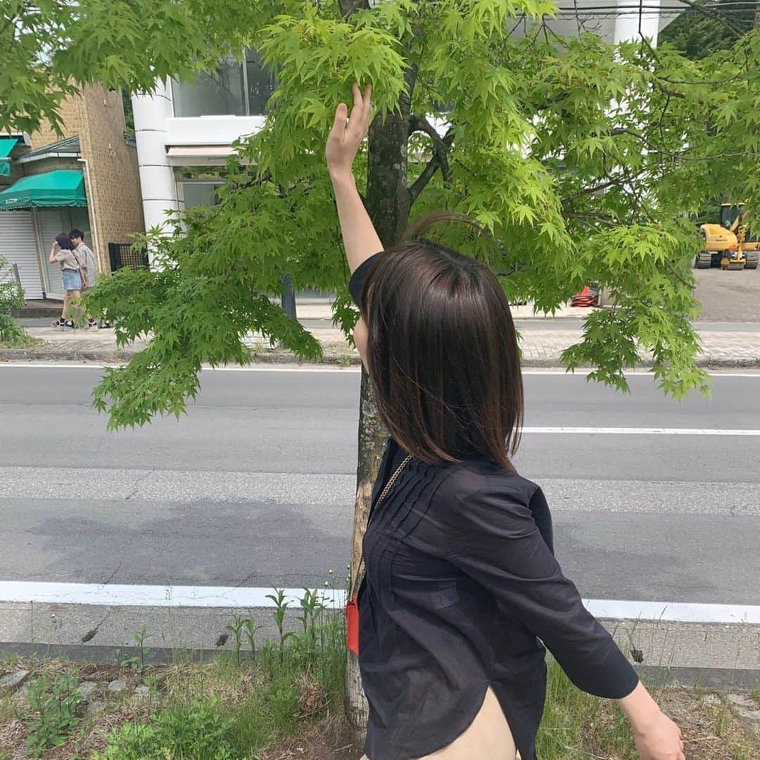 鹿沼憂妃さんのインスタグラム写真 - (鹿沼憂妃Instagram)「謎の写真🌿 軽井沢はちっちゃいツツジがいっぱい咲いてて 色もイロイロで可愛かった〜🧡💗❤️ 今日の東京は猛暑ですな… 軽井沢にモドリタイ… 水分補給しっかりして頑張ろう🤢✨ #軽井沢 #植物 #綺麗 #写真いっぱい」5月27日 11時24分 - shika_0225