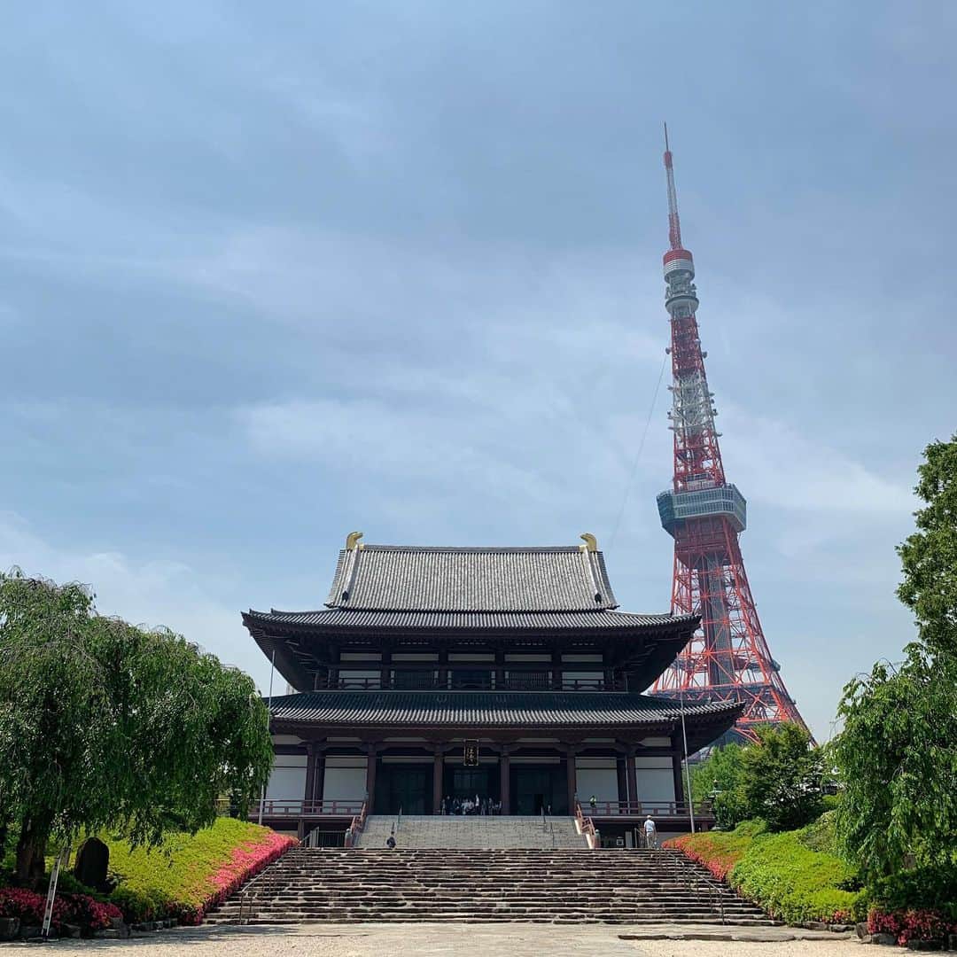 のインスタグラム：「たわ！ #🗼 #tokyotower #東京タワー #増上寺 #zojoji #tokyo_instagram」