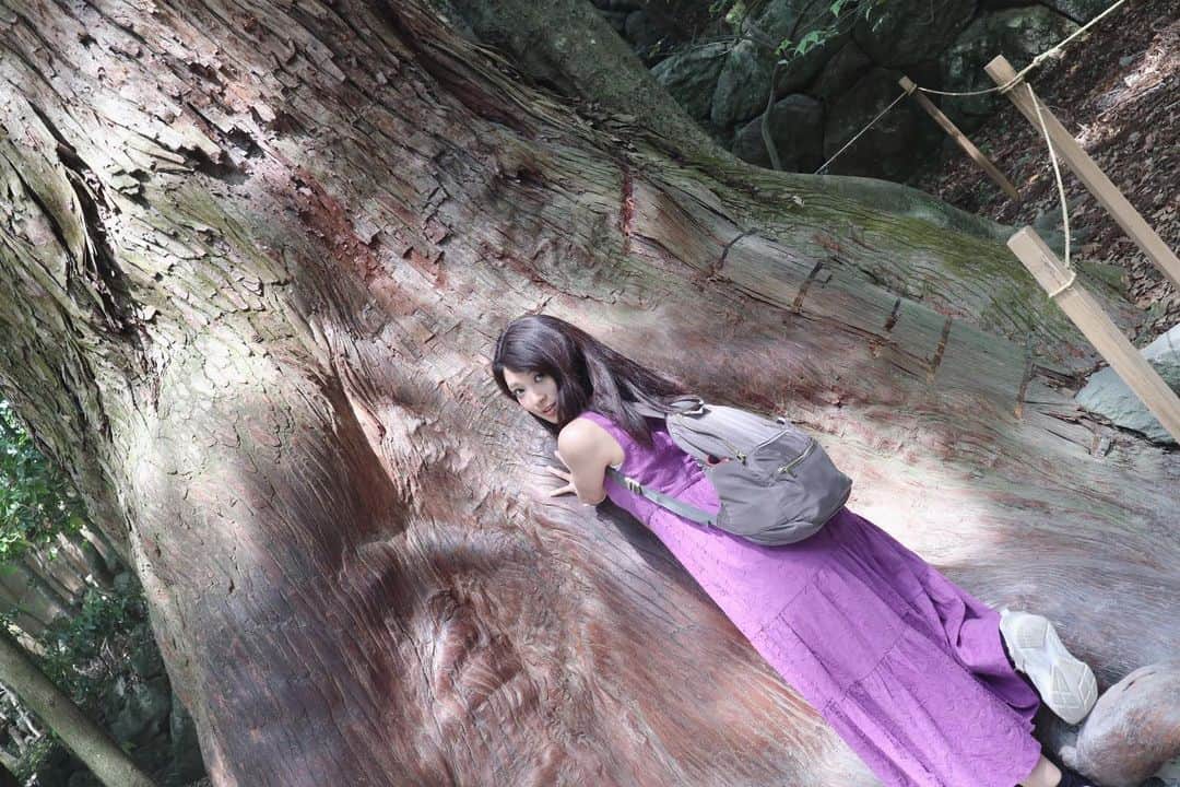 のインスタグラム：「何歳ですか？と問いかけたけど、答えてくれなかった（笑）  Can you guess how old these trees are?  #伊勢神宮 #isejingu #伊勢 #ise #mieprefecture #japantravel #shorttrip #旅ジョ #tabijyo #travelgirlstyle #旅フォト #odd #mercuryduo #followme」