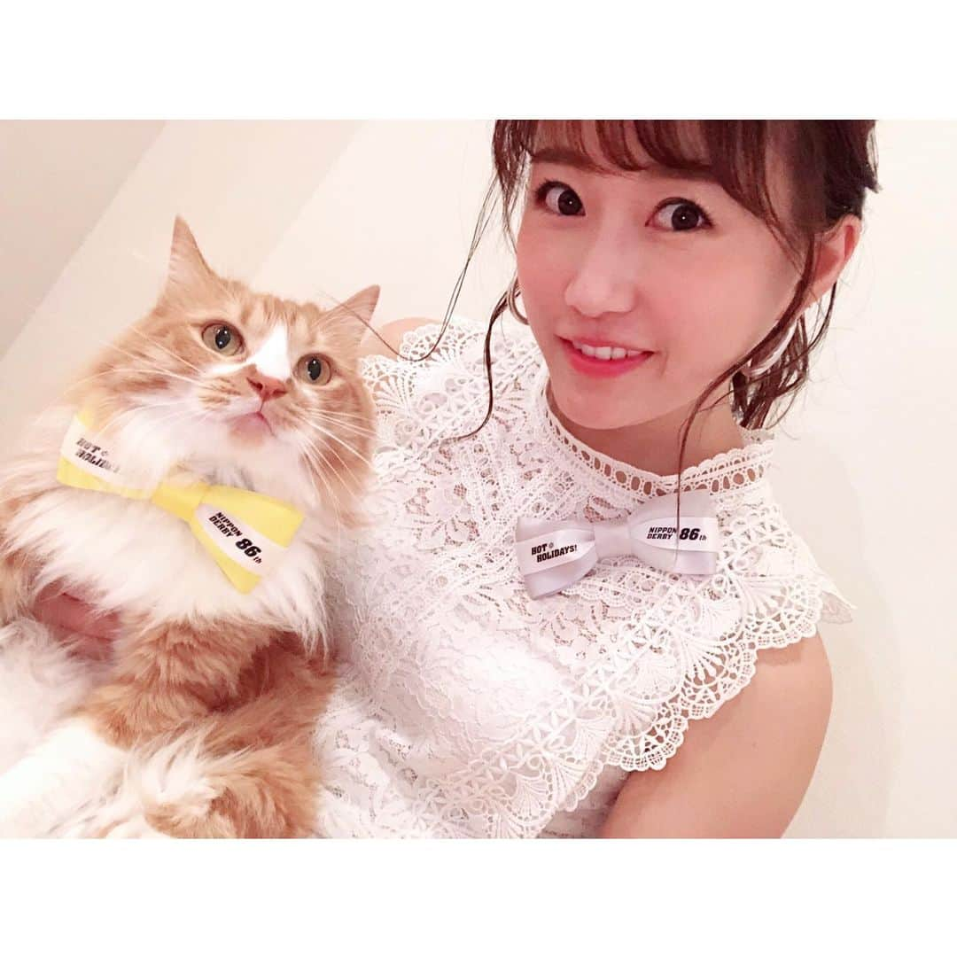 津田麻莉奈さんのインスタグラム写真 - (津田麻莉奈Instagram)「ダービーの余韻に浸る夜🏇💕💨 虎太郎くん、ダービーリボンをつけた首輪がお似合い🐯 モフモフすぎて埋もれてるけど😅 牡3歳ですが出走は叶いませんでした…。(当たり前や) ⁑ #うちの虎太郎くん 👈#follow ⁑ #虎太郎 #ねこ #3歳 #ミックス猫 #スコティッシュミックス #スコティッシュ #ねこ部 #ねこ写真 #ねこすたぐらむ #猫  #catstagram #cat #고양이  #instacat #愛猫 #ねこ好き #derby #tokyoracecourse  #東京優駿 #ダービー #日本ダービー #ダービーリボン #umajo #競馬 #競馬好き #津田麻莉奈 #まりなる」5月27日 21時49分 - tsudamarinal