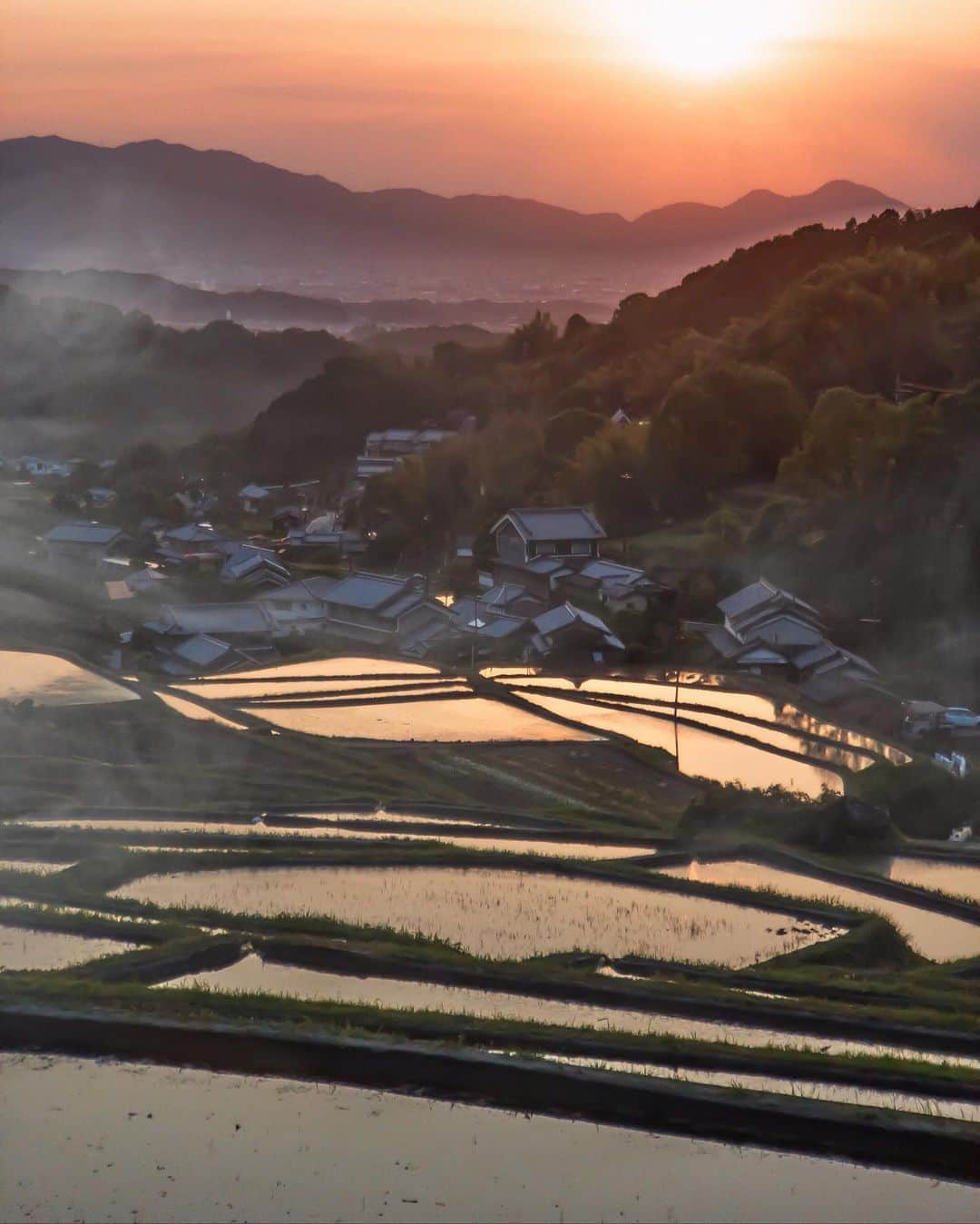 Koichiのインスタグラム：「. . Rice terraces . #BeautifulJapan #明日香 #奈良 #Nara .」