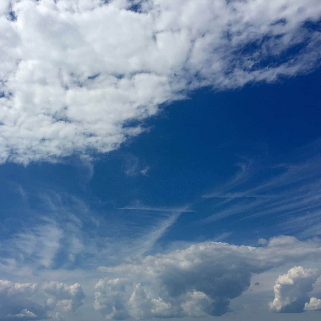 のインスタグラム：「“A country is not a certain area of land, of mountains, rivers, and woods, but it is a principle and patriotism is loyalty to that principle.” Today we take pause to honor those who have made the ultimate sacrifice for country, creating our liberty as an expression of selfless love. We pray for peace on earth, and peace for their souls. We salute you. “Our common liberty is consecrated by a common sorrow.” Quotes by George William Curtis」