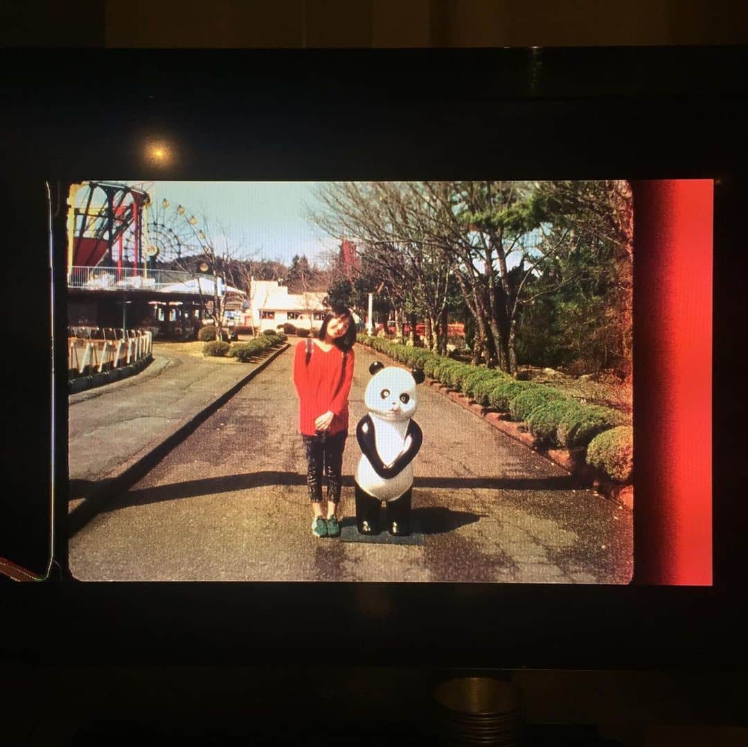 島田大介のインスタグラム：「memory #kinokoteikoku」