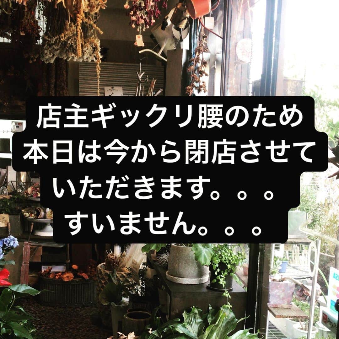 MILLE ECLAT.のグルメインスタ