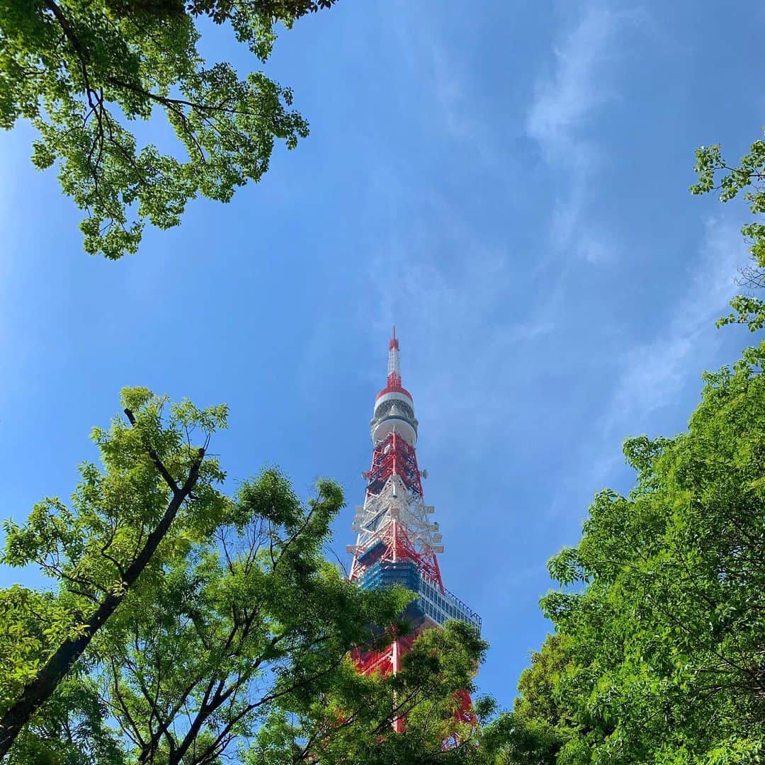 のインスタグラム：「#🗼 #tokyotower  #東京タワー」