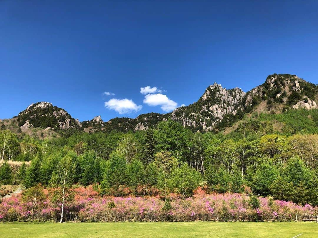 植田夢月さんのインスタグラム写真 - (植田夢月Instagram)「・ みんなは、自分の精神的または身体的な限界を求められるようなルートを登るとき、何を考えてる？ ・ ・ 「神の時代」を登った日はただただ嬉しかったんだけど、時間が経つにつれて、自分のメンタルについてうじうじ考えるようになった。 ・ TRで練習して、できるムーブだってことは分かってる。なのに、下部のプロテクションが不安なパートでは、どうしても呼吸が荒くなり、足先が震えた。 相変わらず、私は怖がりだ。 ・ 「できる。できる。大丈夫。」と言い聞かせて、わざと大きく息を吐いた。慎重になって、レストを多めに取りながら登ったから、最後のセクションでは足がパンプしてしまって、手足を交互にレストさせた。 ・ 「ここまで来たから、お願いです、登らせてください。」と心の中で祈った。終了点前で足が滑ったりしたけど、「神の時代」は私の気持ちに応えてくれた。 ・ ・ 岩登りの（たぶん）1/3くらいは、心の問題だ。 もっと厳しいスタイルや、もっと自分の限界に近いルートに出会ったとき、私の心は耐えられるだろうか？これから、どんな風に成長させていったらいいんだろうか？ ・ ・ みんながどんな風に自分の心と向き合ってるのか、知りたいなぁ。 ・ ・ #ふわふわした文章すみません」5月27日 14時46分 - dream_moco