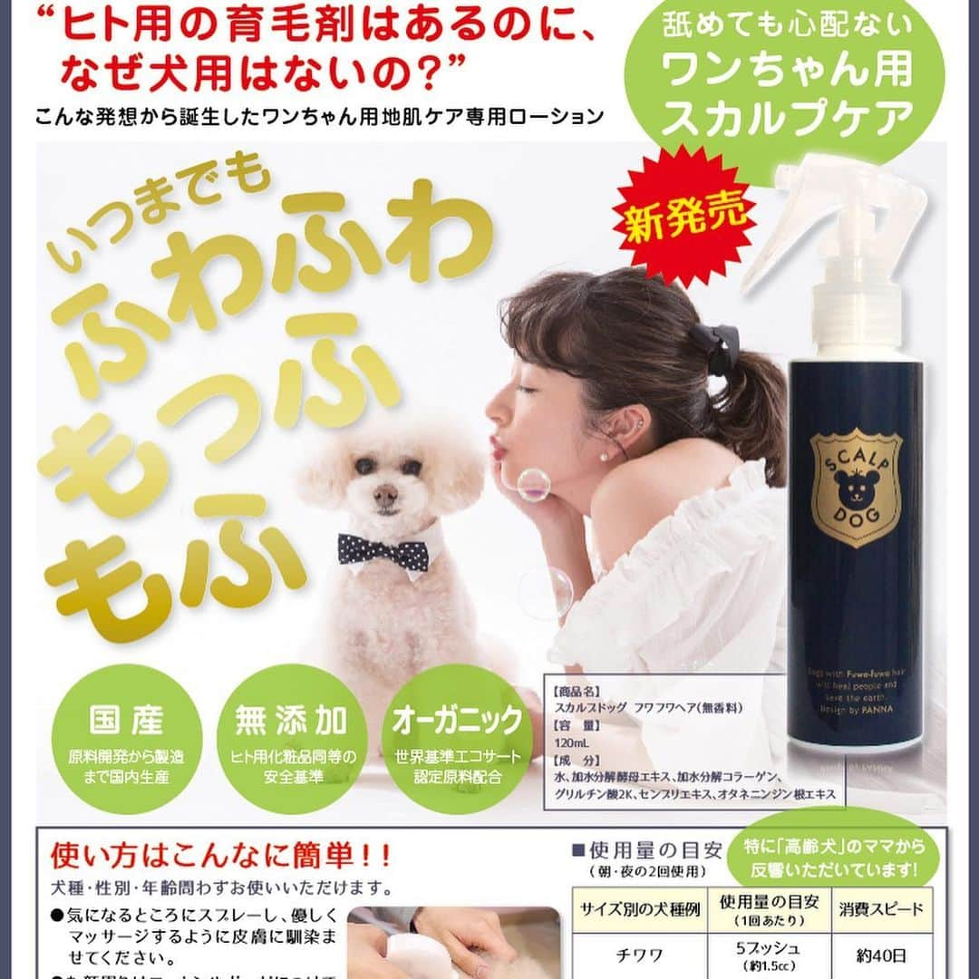 Dog's Life PANNAさんのインスタグラム写真 - (Dog's Life PANNAInstagram)「パンナより世界初ワンちゃん用育毛剤を発売しました👏😊 素晴らしい商品なので薄毛が気になる方はもちろん多毛さんの日々のケアにも、たくさんの方々にお試していただきたい✨✨ 今回もパッケージはいつもの私の落書き帳から起こしたデザインで…リーフレットモデルはもちろん、れりちゃん&いっぴー❤️最高のフワフワ毛を目指しましょう！！ #オーガニック #育毛剤 #世界毛髪研究会議  #最優秀賞受賞 #ママの化粧品基準以上 #パパの頭にもどうぞ👨 #sculpdog #panna #dogslifepanna  #petshotel #dogstagram #petstagram #poodle #toypoodle #スカルプドッグ#パンナ #ドッグズライフパンナ @reli0531 @dogslifepanna」5月27日 15時03分 - panna0313