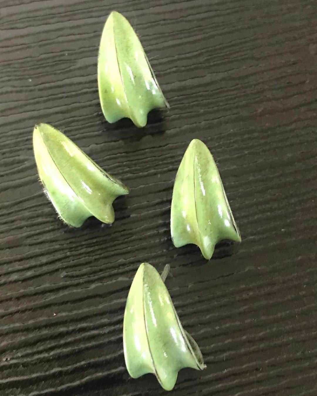 ホアキンベラオのインスタグラム