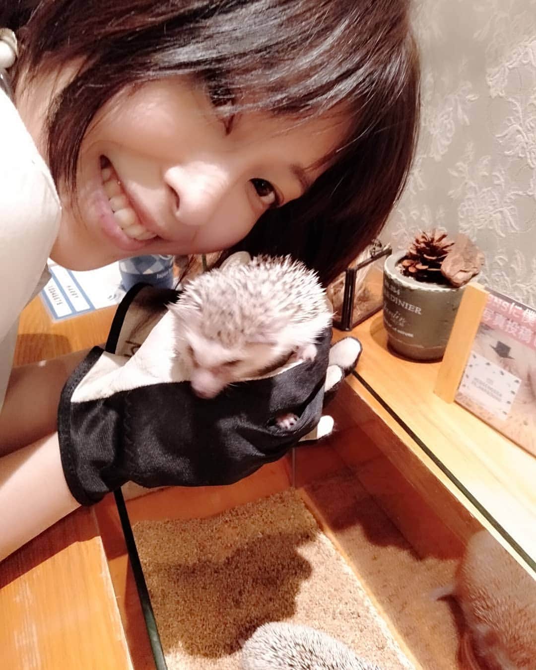 大塚咲さんのインスタグラム写真 - (大塚咲Instagram)「ハリネズミカフェ!」5月27日 17時49分 - otsukasaki_