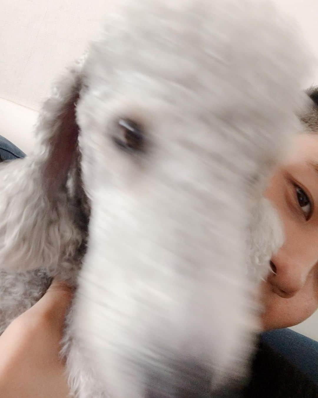 シヌ さんのインスタグラム写真 - (シヌ Instagram)「With 곤❤️」5月27日 18時14分 - realcnu