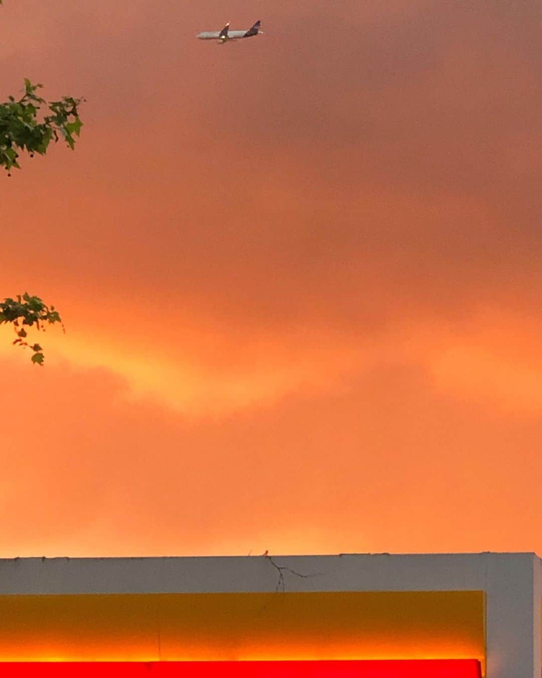 ニック・ナイトさんのインスタグラム写真 - (ニック・ナイトInstagram)「Orange glow over Richmond」5月27日 18時31分 - nick_knight