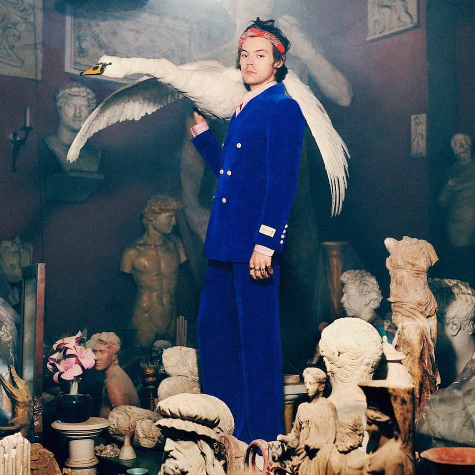 AnOther Magazineさんのインスタグラム写真 - (AnOther MagazineInstagram)「ICYMI – @harrystyles and a swan for @gucci 🚨 ⠀⠀ 📷 by #HarmonyKorine for Gucci Men’s Tailoring Campaign 2019」5月27日 18時37分 - anothermagazine